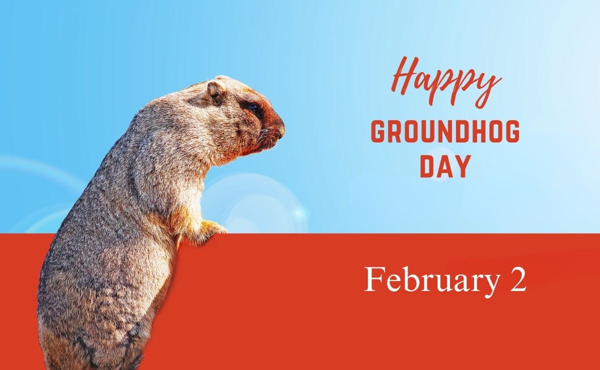 Happy Groundhog Day – Celebrate with Quote, Messages & Wishes