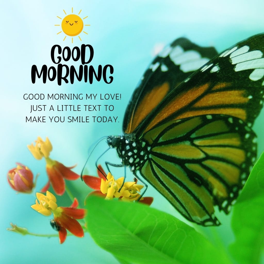 Romantic Good Morning Messages And Images To Send To Your Love 7 Romantic Good Morning Messages 7 Romantic Good Morning Messages