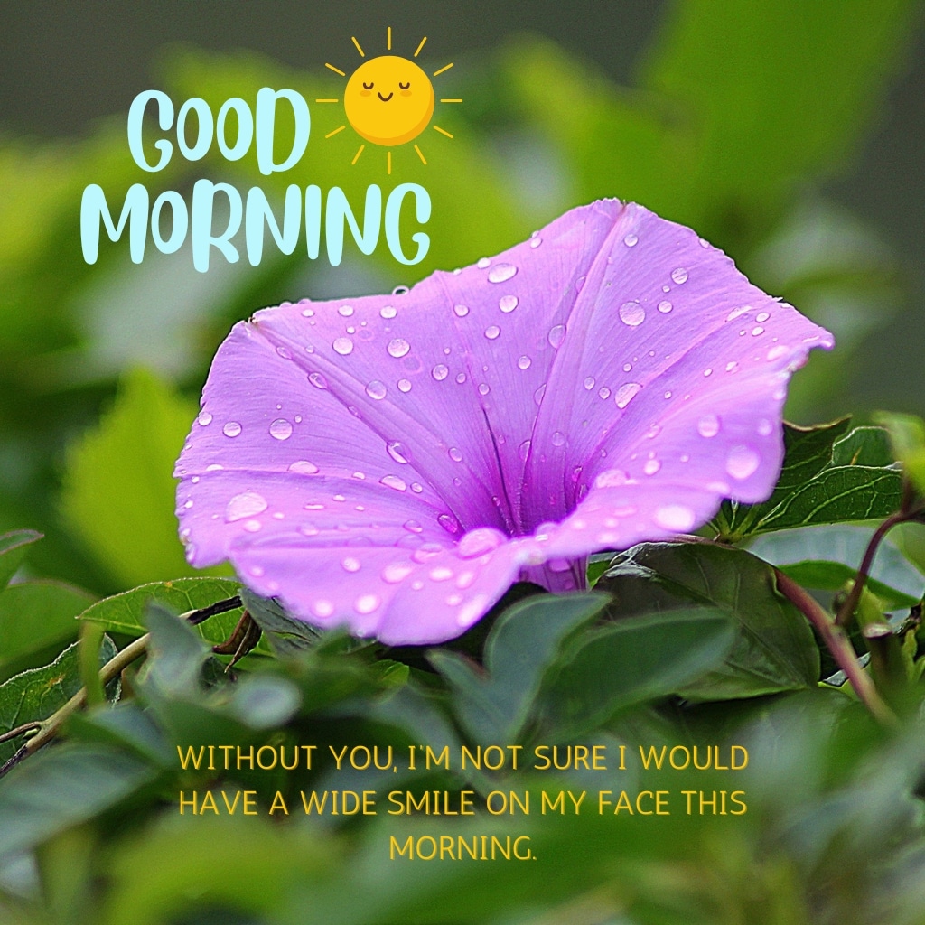 Romantic Good Morning Messages And Images To Send To Your Love 8 Romantic Good Morning Messages 8 Romantic Good Morning Messages